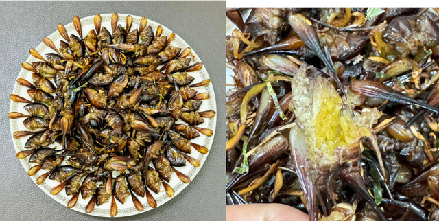 Con "c&ugrave;ng đống" xưa kh&ocirc;ng ai ng&oacute;, nay th&agrave;nh đặc sản T&acirc;y Bắc đắt đỏ, được d&acirc;n nhậu m&ecirc; t&iacute;t- Ảnh 2.