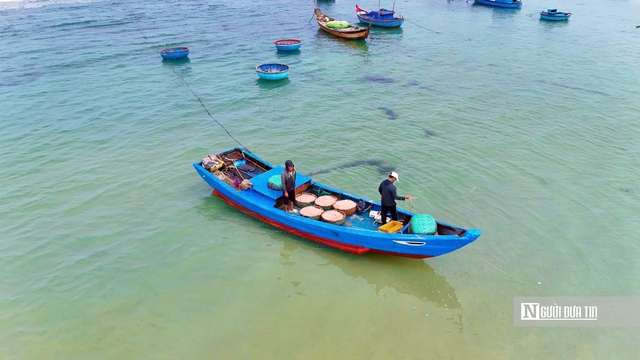 M&ugrave;a ruốc bội thu, b&atilde;i ngang Quảng Ng&atilde;i rộn r&agrave;ng sau Tết- Ảnh 2.