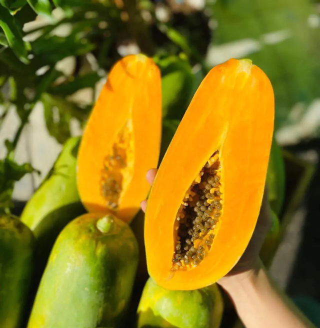 Loại quả "tốt nhất thế giới", ở Việt Nam hễ ra chợ l&agrave; thấy - Ảnh 3.