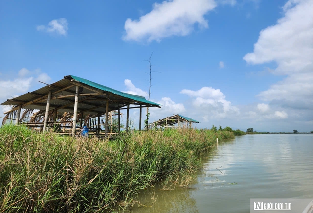 L&atilde;o n&ocirc;ng tr&ecirc;n ph&aacute; Hạc Hải &ndash; B&agrave;i 1: "Trả nợ" chim trời - Ảnh 2.