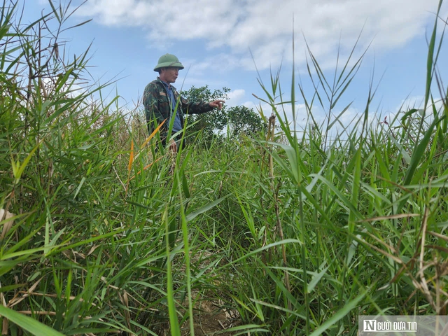 L&atilde;o n&ocirc;ng tr&ecirc;n ph&aacute; Hạc Hải &ndash; B&agrave;i 1: "Trả nợ" chim trời - Ảnh 3.