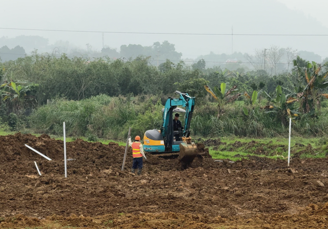 EVNHANOI đẩy mạnh công tác đầu tư xây dựng từ đầu năm 2026 - Ảnh 2.