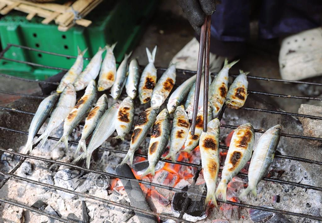 Việt Nam sở hữu loại c&aacute; "tốt nhất thế giới", gi&aacute; b&igrave;nh d&acirc;n, ngo&agrave;i chợ b&aacute;n đầy - Ảnh 2.