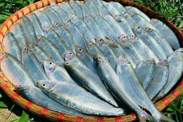 Việt Nam sở hữu loại c&aacute; "tốt nhất thế giới", gi&aacute; b&igrave;nh d&acirc;n, ngo&agrave;i chợ b&aacute;n đầy - Ảnh 1.