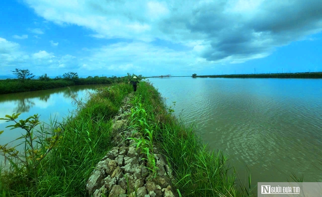 Chuyện lão nông ở phá Hạc Hải – kỳ cuối: Mô hình kinh tế cho thu nhập “khủng” mỗi năm - Ảnh 2.