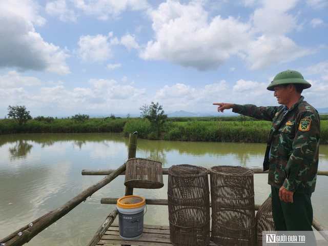 Chuyện lão nông ở phá Hạc Hải – kỳ cuối: Mô hình kinh tế cho thu nhập “khủng” mỗi năm - Ảnh 4.