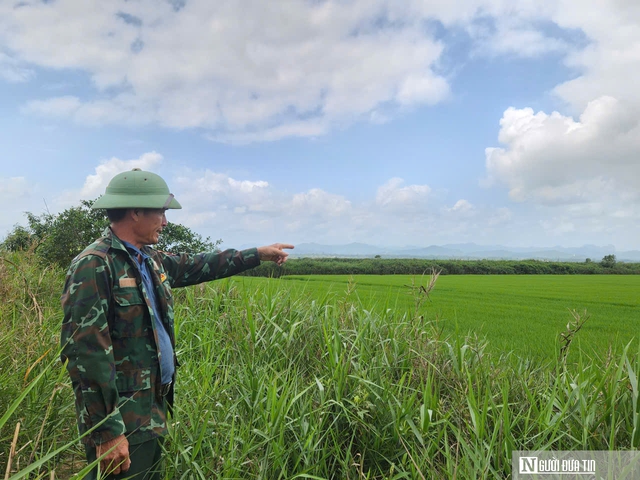Chuyện lão nông ở phá Hạc Hải – kỳ cuối: Mô hình kinh tế cho thu nhập “khủng” mỗi năm - Ảnh 5.