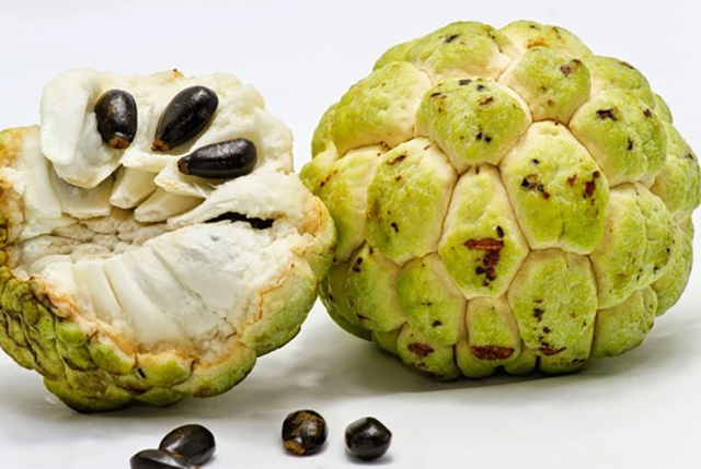 Những loại trái cây có hạt chứa độc tố, phải cẩn thận kẻo "ôm bệnh" - Ảnh 4.