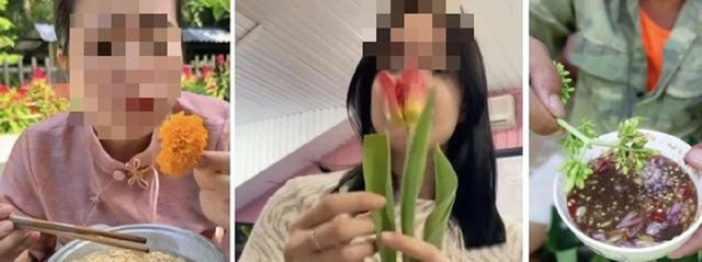 Tr&agrave;o lưu ẩm thực &ldquo;ăn hoa như ăn rau&rdquo;: B&aacute;c sĩ chỉ ra những t&aacute;c hại kh&oacute; lường- Ảnh 1.