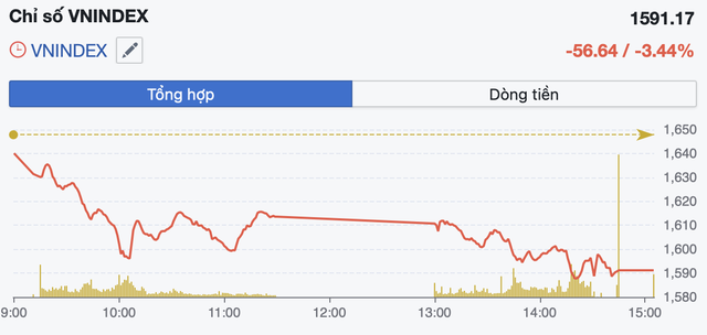 VN-Index "thủng" mốc 1.600 điểm, nhiều cổ phiếu lao dốc về giá sàn - Ảnh 1.