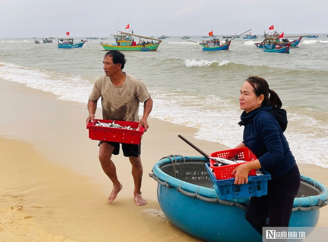 Rộn r&agrave;ng cảnh mua b&aacute;n &ldquo;lộc biển&rdquo; ngay tại bờ sau một đ&ecirc;m đ&aacute;nh bắt - Ảnh 2.