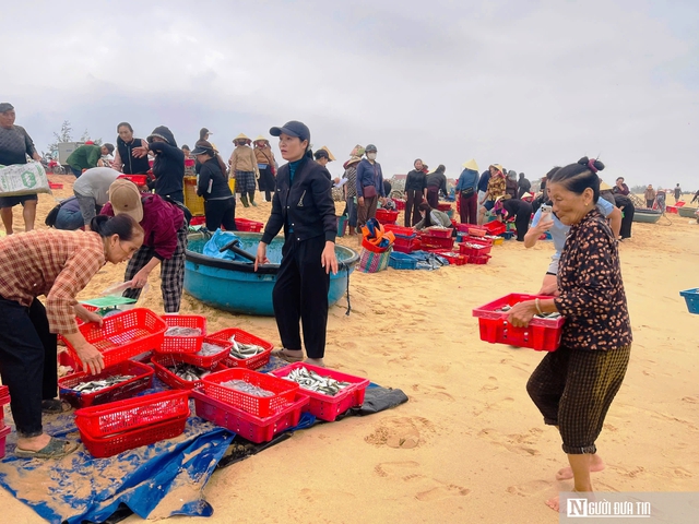 Rộn r&agrave;ng cảnh mua b&aacute;n &ldquo;lộc biển&rdquo; ngay tại bờ sau một đ&ecirc;m đ&aacute;nh bắt - Ảnh 3.