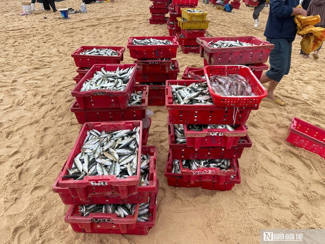 Rộn r&agrave;ng cảnh mua b&aacute;n &ldquo;lộc biển&rdquo; ngay tại bờ sau một đ&ecirc;m đ&aacute;nh bắt - Ảnh 5.