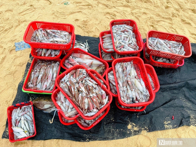 Rộn r&agrave;ng cảnh mua b&aacute;n &ldquo;lộc biển&rdquo; ngay tại bờ sau một đ&ecirc;m đ&aacute;nh bắt - Ảnh 6.