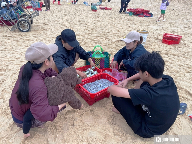 Rộn r&agrave;ng cảnh mua b&aacute;n &ldquo;lộc biển&rdquo; ngay tại bờ sau một đ&ecirc;m đ&aacute;nh bắt - Ảnh 7.