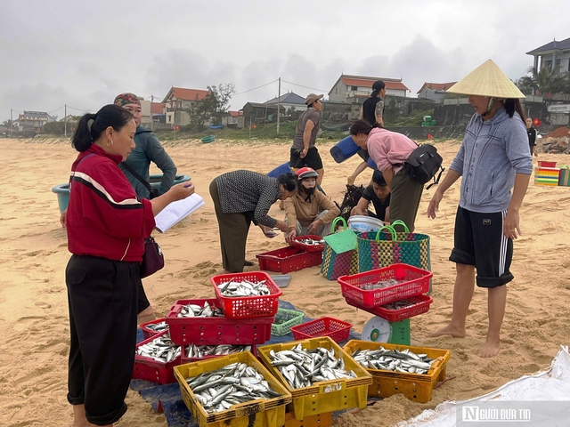 Rộn r&agrave;ng cảnh mua b&aacute;n &ldquo;lộc biển&rdquo; ngay tại bờ sau một đ&ecirc;m đ&aacute;nh bắt - Ảnh 10.