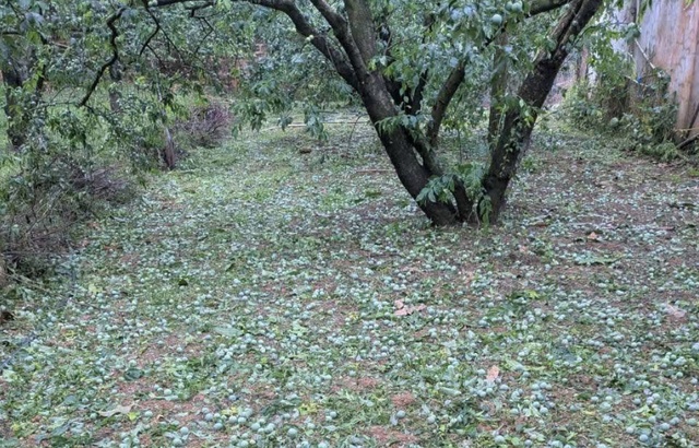 Mưa đá, giông lốc “càn quét” miền núi phía Bắc, hàng trăm mái nhà tốc mái, thiệt hại lan rộng - Ảnh 2.