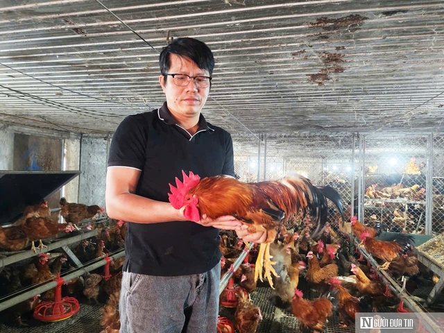 Lương vài chục triệu, bác sĩ thú y vẫn bỏ việc về mở trang trại thu gần 9 tỷ mỗi năm- Ảnh 2. Lương vài chục triệu, bác sĩ thú y vẫn bỏ việc về mở trang trại thu gần 9 tỷ mỗi năm- Ảnh 2.