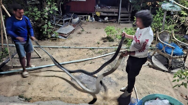 Chủ nhà sợ hãi khi - Ảnh 2.