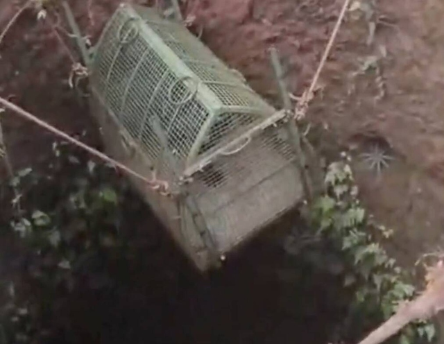 Đuổi theo con mồi, b&aacute;o đen qu&yacute; hiếm rơi xuống dưới giếng s&acirc;u 15 m&eacute;t  - Ảnh 1.