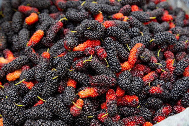 Đừng chỉ ăn quả, l&aacute; c&acirc;y n&agrave;y qu&yacute; như "nh&acirc;n s&acirc;m của người ngh&egrave;o", đang v&agrave;o m&ugrave;a đi chợ l&agrave; thấy  - Ảnh 3.