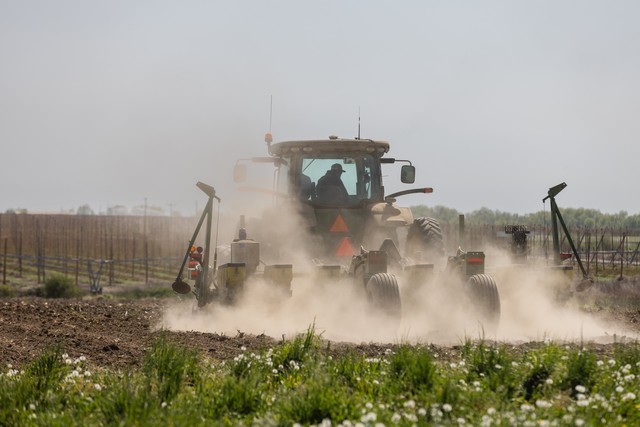 Kh&ocirc;ng chỉ dầu kh&iacute; việc phong tỏa eo biển Hormuz đang l&agrave;m rung chuyển một mặt h&agrave;ng thiết yếu kh&aacute;c - Ảnh 1.