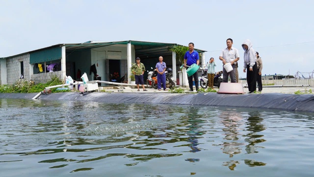 Chưa kịp &ldquo;đổi đời&rdquo; đ&atilde; &ocirc;m khoản nợ tiền tỷ v&igrave; nu&ocirc;i t&ocirc;m- Ảnh 3.