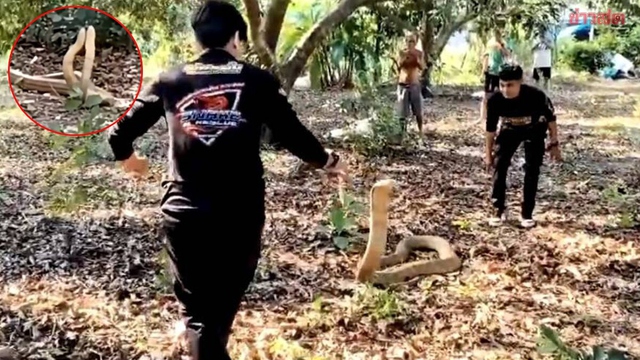 Người đàn ông bỏ chạy - Ảnh 1.