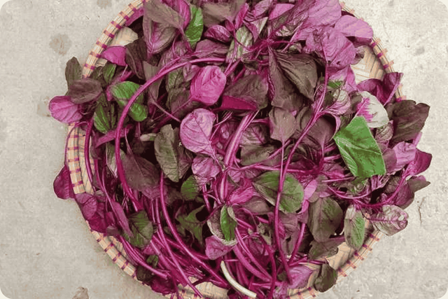 Loại rau bổ ngang thịt b&ograve;, trời T&acirc;y qu&yacute; như "v&agrave;ng" kh&ocirc;ng ngờ mọc đầy Việt Nam - Ảnh 1.