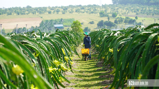 Đổi mới quy định công nhận nông thôn mới giai đoạn 2026-2030
- Ảnh 1. Đổi mới quy định công nhận nông thôn mới giai đoạn 2026-2030
- Ảnh 1.