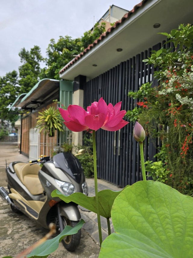 Cuộc sống an yên, viên mãn của "ông hoàng nhạc đỏ" nổi tiếng miền Nam - Ảnh 11.