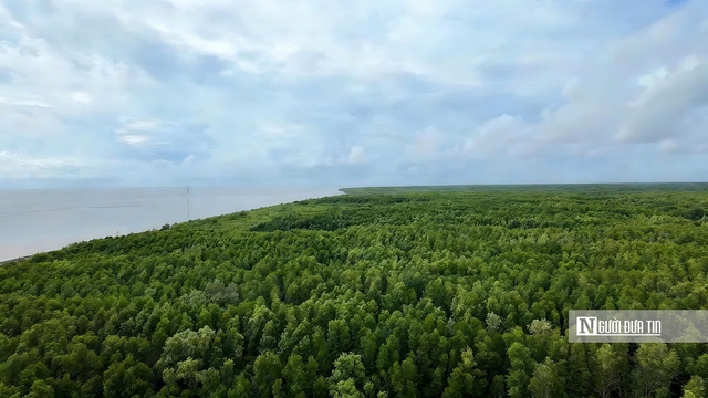 Khám phá Mũi Cà Mau: Điều gì khiến nơi tận cùng Tổ quốc trở nên khác biệt?- Ảnh 2. Khám phá Mũi Cà Mau: Điều gì khiến nơi tận cùng Tổ quốc trở nên khác biệt?- Ảnh 2.