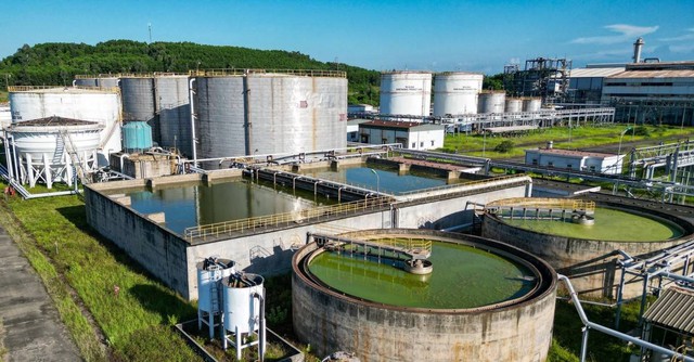 Bước chuyển mới của xăng sinh học - B&agrave;i 3: "C&uacute; h&iacute;ch" n&agrave;o cho xăng E10? - Ảnh 2.