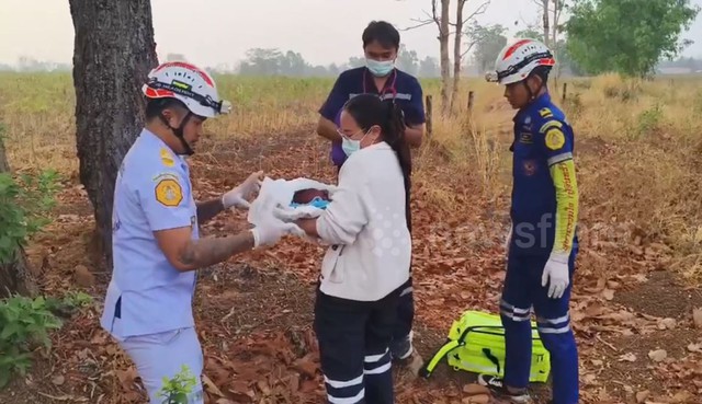 Nghe tiếng khóc trong vườn sắn, người phụ nữ lại xem thì sốc nặng - Ảnh 1.