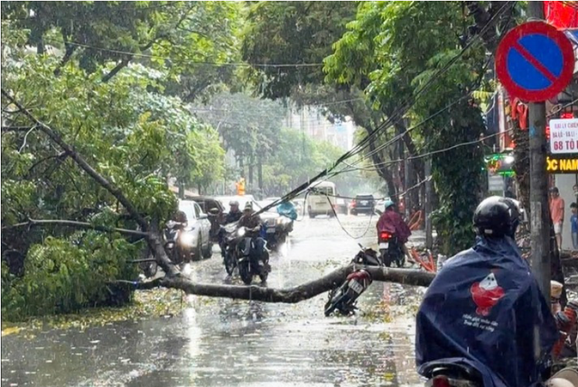 Mưa đ&aacute;, gi&ocirc;ng lốc c&agrave;n qu&eacute;t miền Bắc: 4 người tử vong, hơn 6.500 nh&agrave; tốc m&aacute;i, thiệt hại nặng nề - Ảnh 2.