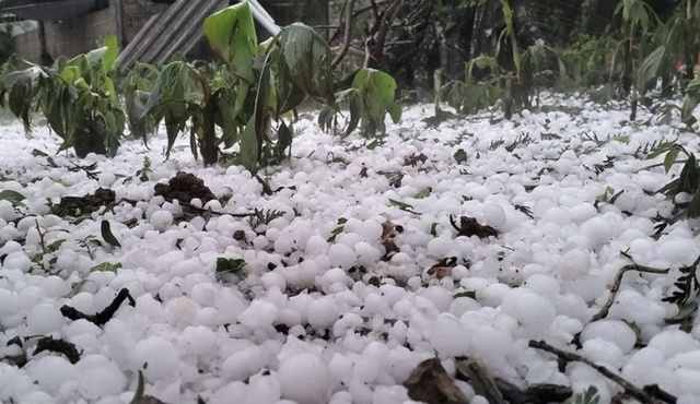 Mưa đ&aacute;, gi&ocirc;ng lốc c&agrave;n qu&eacute;t miền Bắc: 4 người tử vong, hơn 6.500 nh&agrave; tốc m&aacute;i, thiệt hại nặng nề - Ảnh 1.