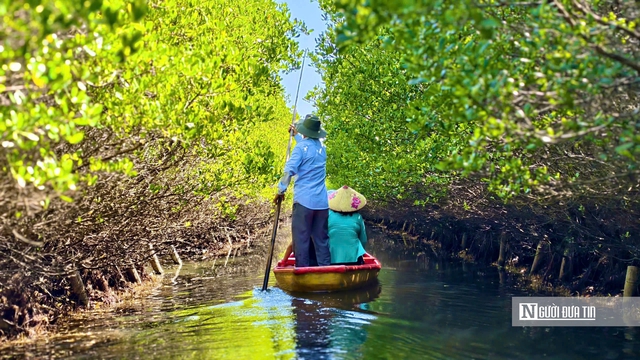 Ngắm đầm ngập mặn tựa “miền Tây thu nhỏ” ở Quảng Ngãi- Ảnh 6. Ngắm đầm ngập mặn tựa “miền Tây thu nhỏ” ở Quảng Ngãi- Ảnh 6.