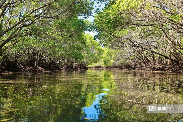 Ngắm đầm ngập mặn tựa “miền Tây thu nhỏ” ở Quảng Ngãi- Ảnh 8. Ngắm đầm ngập mặn tựa “miền Tây thu nhỏ” ở Quảng Ngãi- Ảnh 8.
