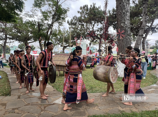 Gia Lai chuẩn bị 244 sự kiện cho Năm Du lịch quốc gia 2026- Ảnh 2.