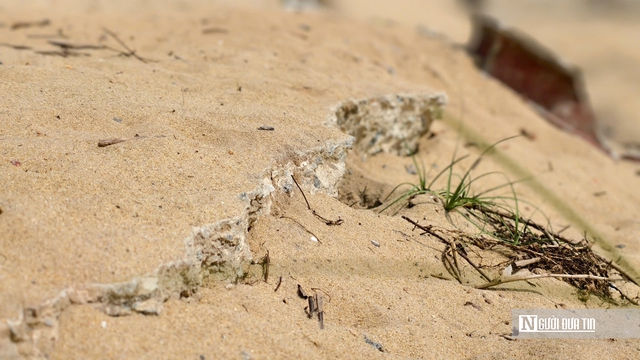 Cận cảnh cửa biển Quảng Ng&atilde;i dự kiến chi gần 1.000 tỷ đồng l&agrave;m k&egrave;- Ảnh 7.