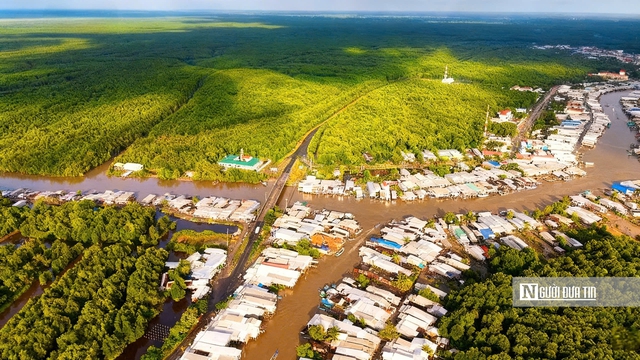 Theo chân ngư dân săn “cá biết bò” ở Đất Mũi- Ảnh 2. Theo chân ngư dân săn “cá biết bò” ở Đất Mũi- Ảnh 2.