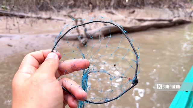 Theo chân ngư dân săn “cá biết bò” ở Đất Mũi- Ảnh 3. Theo chân ngư dân săn “cá biết bò” ở Đất Mũi- Ảnh 3.