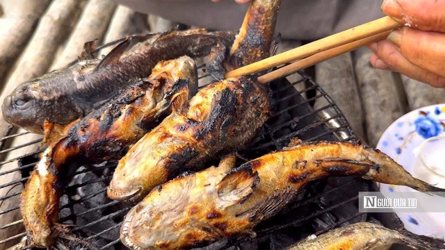 Theo chân ngư dân săn “cá biết bò” ở Đất Mũi- Ảnh 15. Theo chân ngư dân săn “cá biết bò” ở Đất Mũi- Ảnh 15.