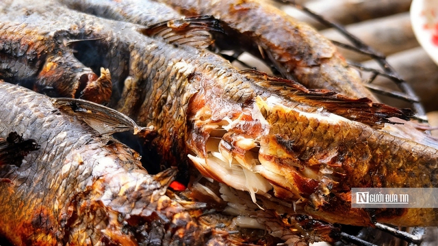 Theo chân ngư dân săn “cá biết bò” ở Đất Mũi- Ảnh 16. Theo chân ngư dân săn “cá biết bò” ở Đất Mũi- Ảnh 16.