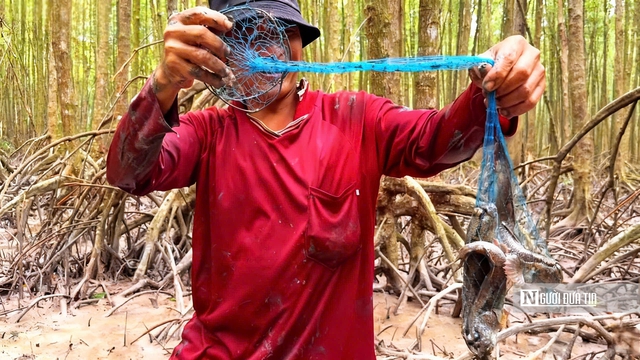 Theo chân ngư dân săn “cá biết bò” ở Đất Mũi- Ảnh 17. Theo chân ngư dân săn “cá biết bò” ở Đất Mũi- Ảnh 17.