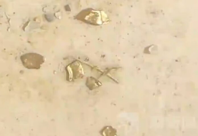 Mổ vịt, người đ&agrave;n &ocirc;ng sốc nặng khi ph&aacute;t hiện 10g v&agrave;ng thật trong bụng- Ảnh 1.