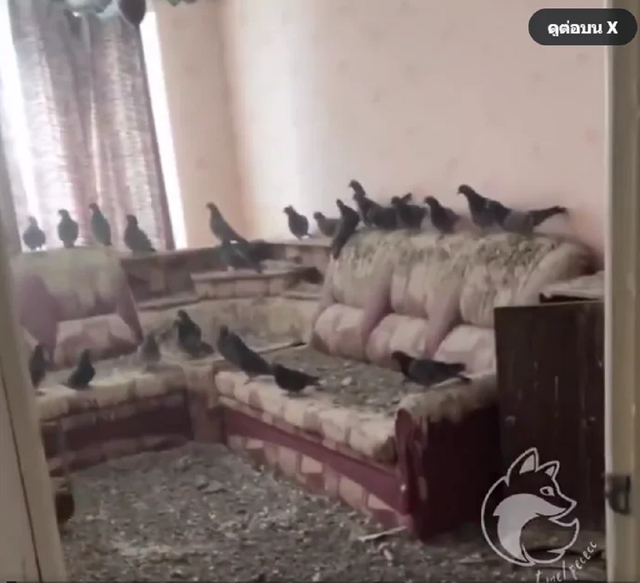 Đi l&agrave;m xa qu&ecirc;n đ&oacute;ng cửa sổ suốt 3 năm, người đ&agrave;n &ocirc;ng sốc khi thấy cảnh tượng "đ&aacute;ng sợ" trong nh&agrave; - Ảnh 1.