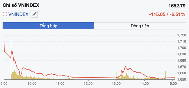 VN-Index giảm hơn 115 điểm, lập kỷ lục giảm sâu trong một phiên - Ảnh 1.