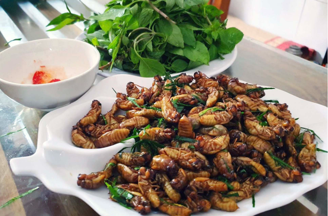 Con &ldquo;re re&rdquo; xưa kh&ocirc;ng ai ng&oacute;, nay th&agrave;nh đặc sản T&acirc;y Bắc, d&acirc;n nhậu săn l&ugrave;ng gi&aacute; tiền triệu - Ảnh 2.