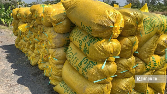 Nỗi lo &ldquo;tr&uacute;ng m&ugrave;a, hụt l&atilde;i&rdquo; của n&ocirc;ng d&acirc;n vụ Đ&ocirc;ng Xu&acirc;n- Ảnh 3.